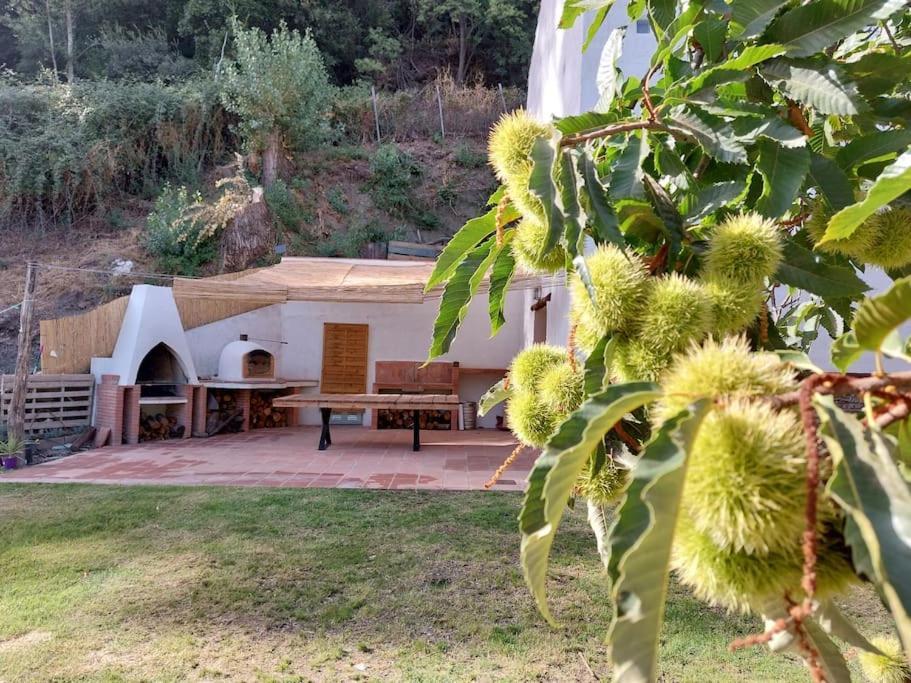 Casa Barranco Villa Juzcar Exterior photo